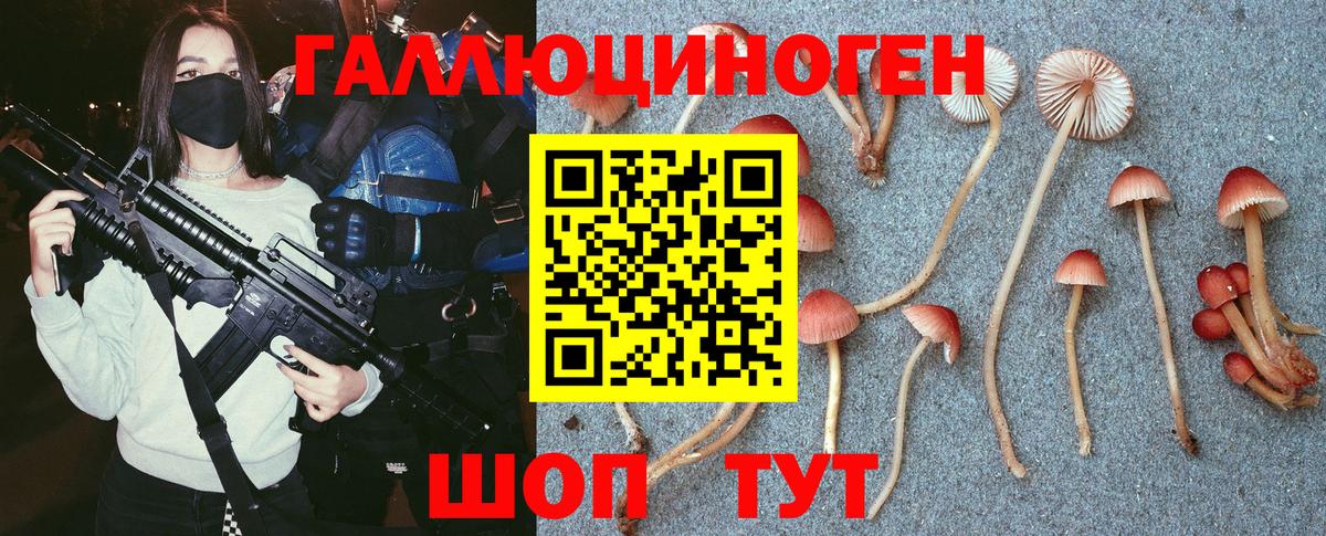 Галлюциногенные грибы GOLDEN TEACHER Амурск