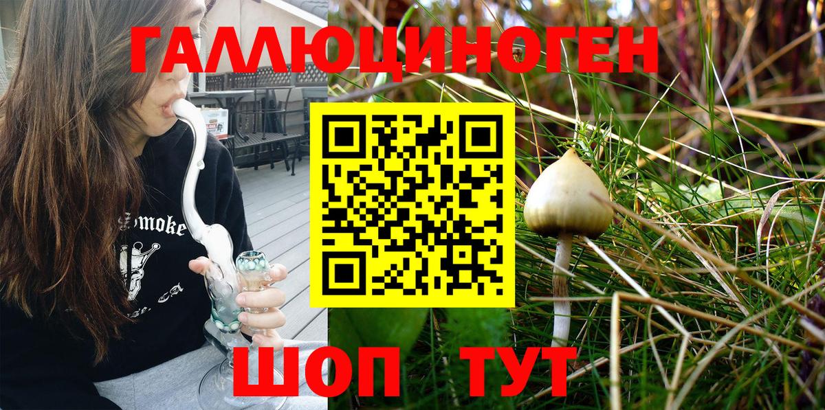Псилоцибиновые грибы MAGIC MUSHROOMS  Псилоцибиновые грибы Psilocybine cubensis  Вход с VPN  Амурск 